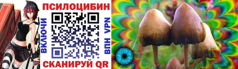 Купить где  Анапа  Псилоцибиновые грибы Psilocybine cubensis 